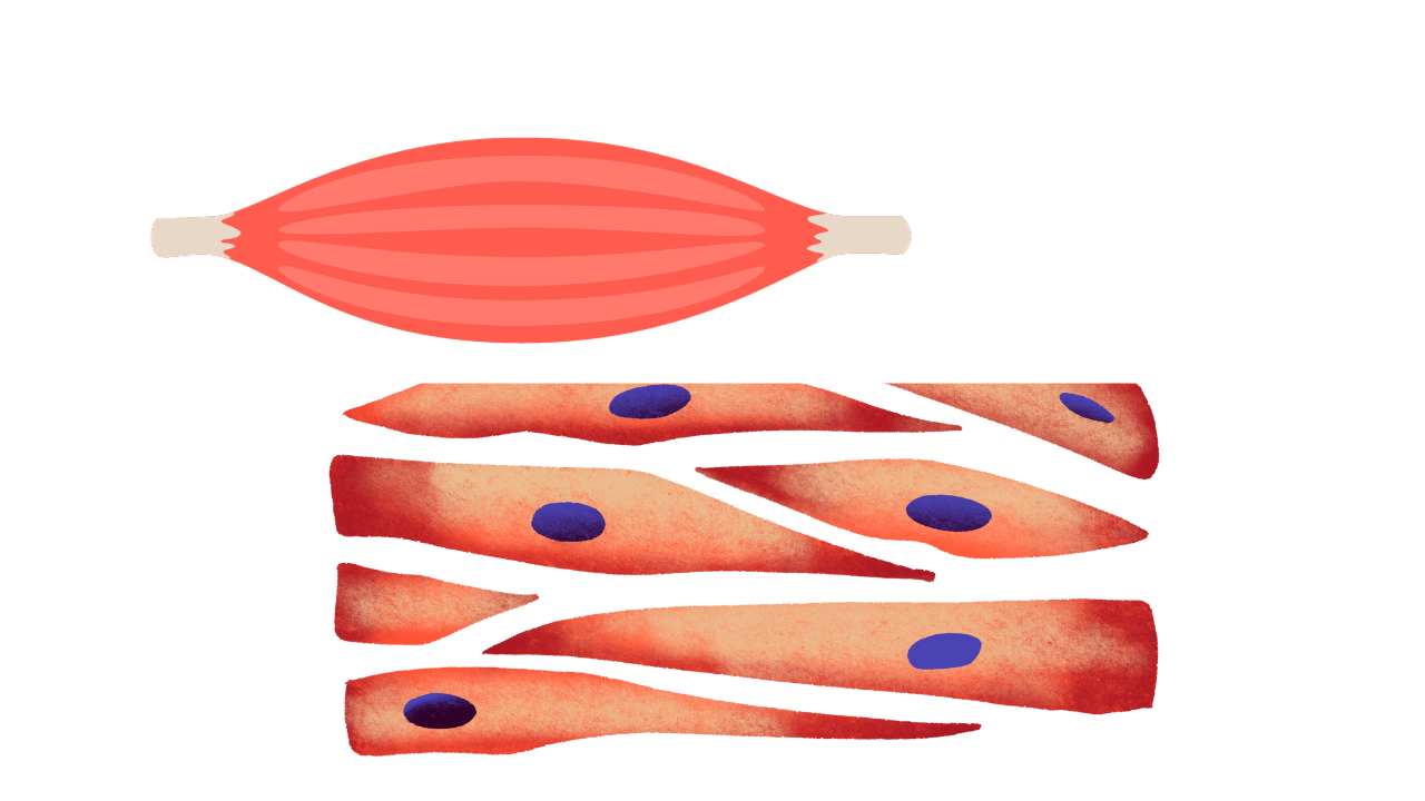 和らぐ体のブログ